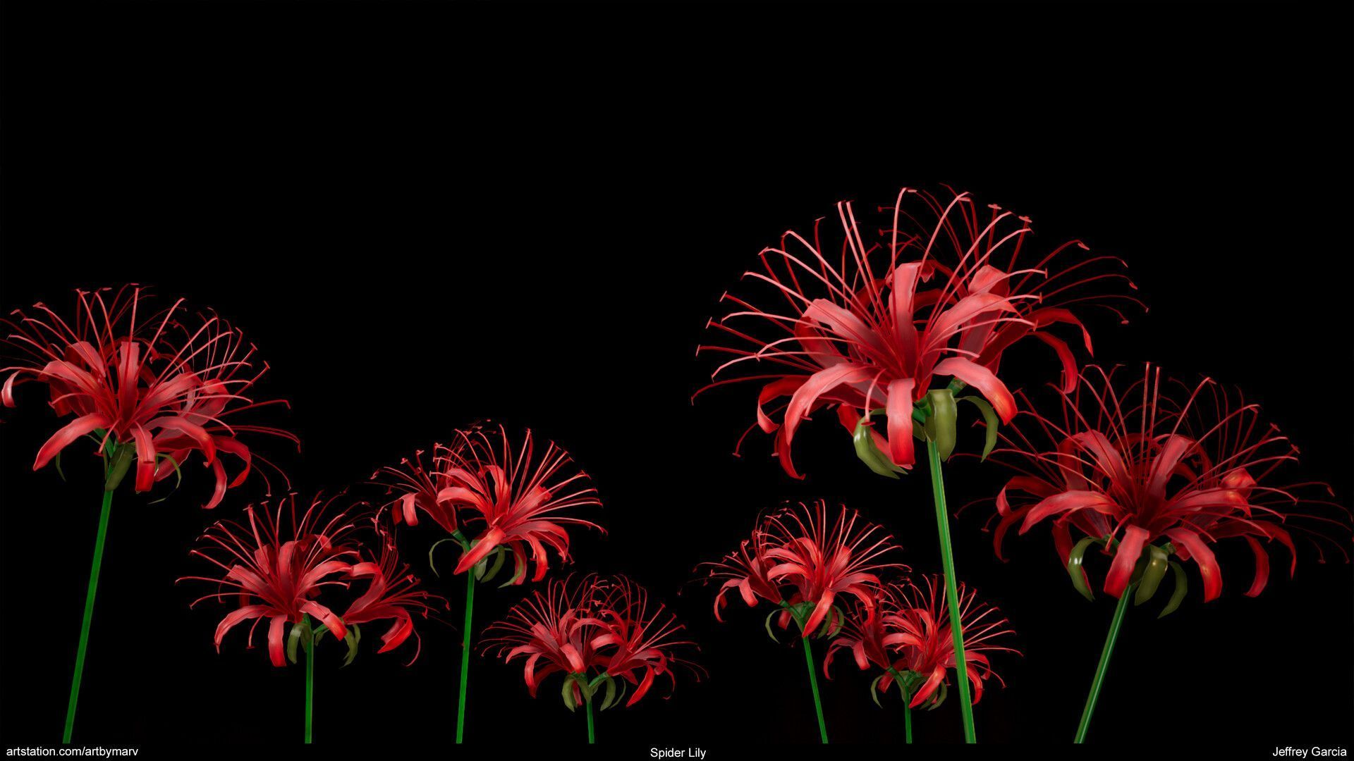 1920x1080 Jeffrey Garcia