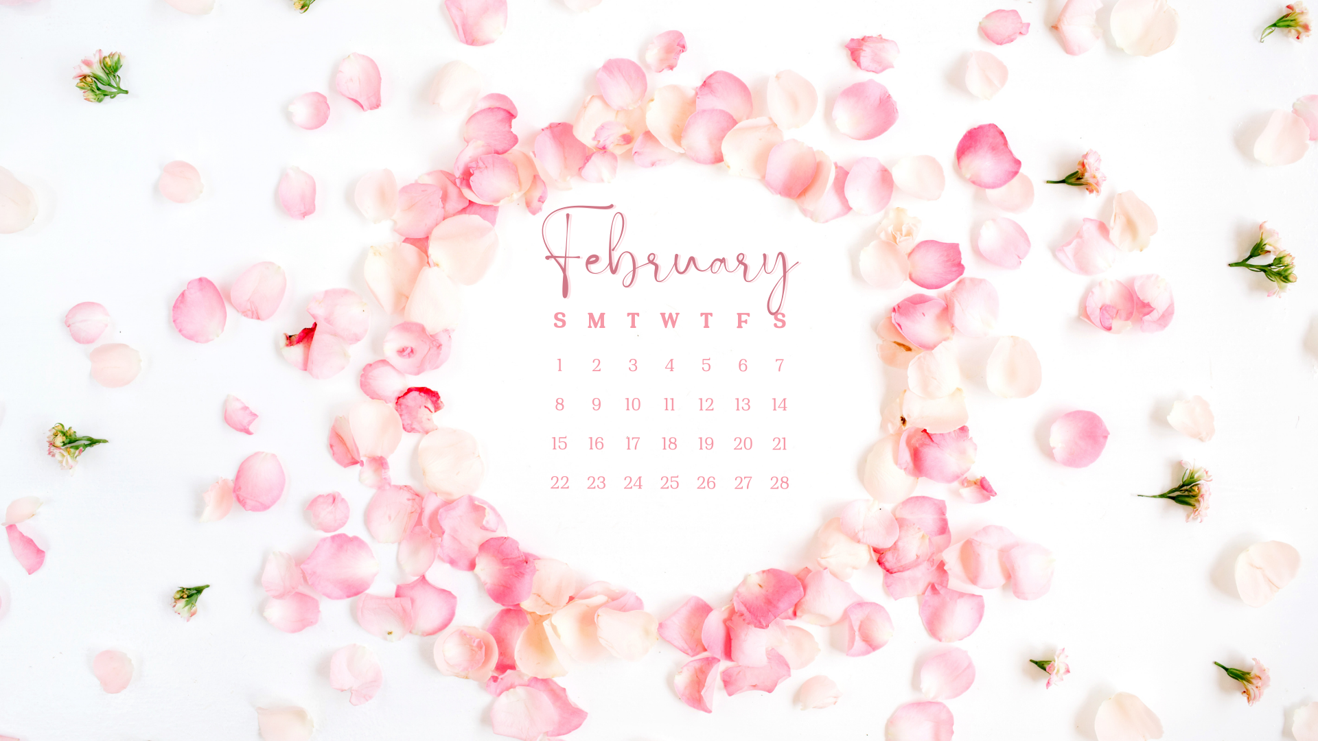 1920x1080 Free February 2026 Desktop Calendar Background (EASY DOWNLOAD)