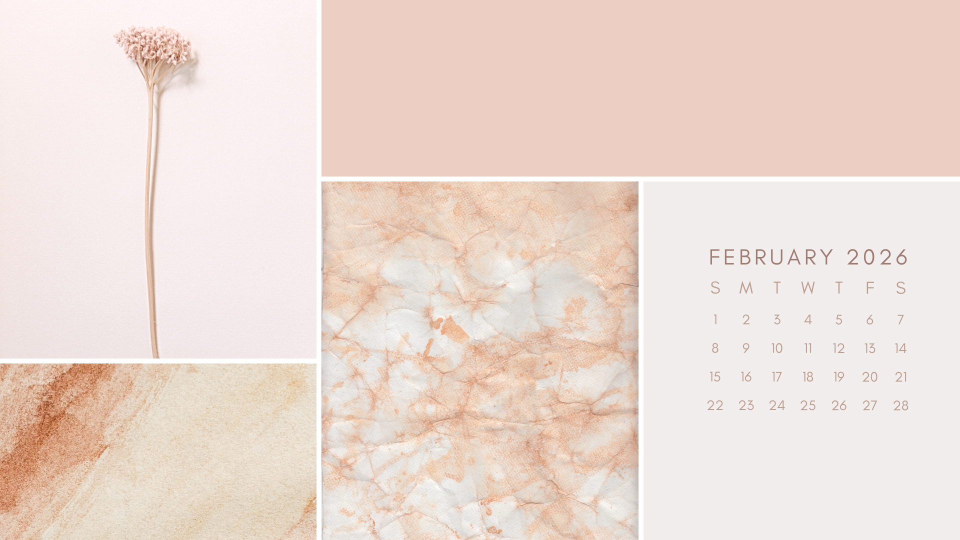 1920x1080 Free February 2026 Desktop Calendar Background (EASY DOWNLOAD)