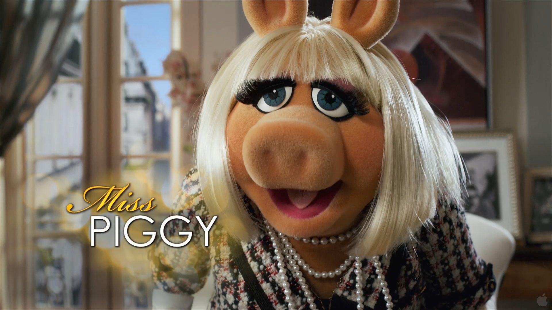 1920x1080 Free download Miss Piggy Wallpaper [1920x1080] for your Desktop