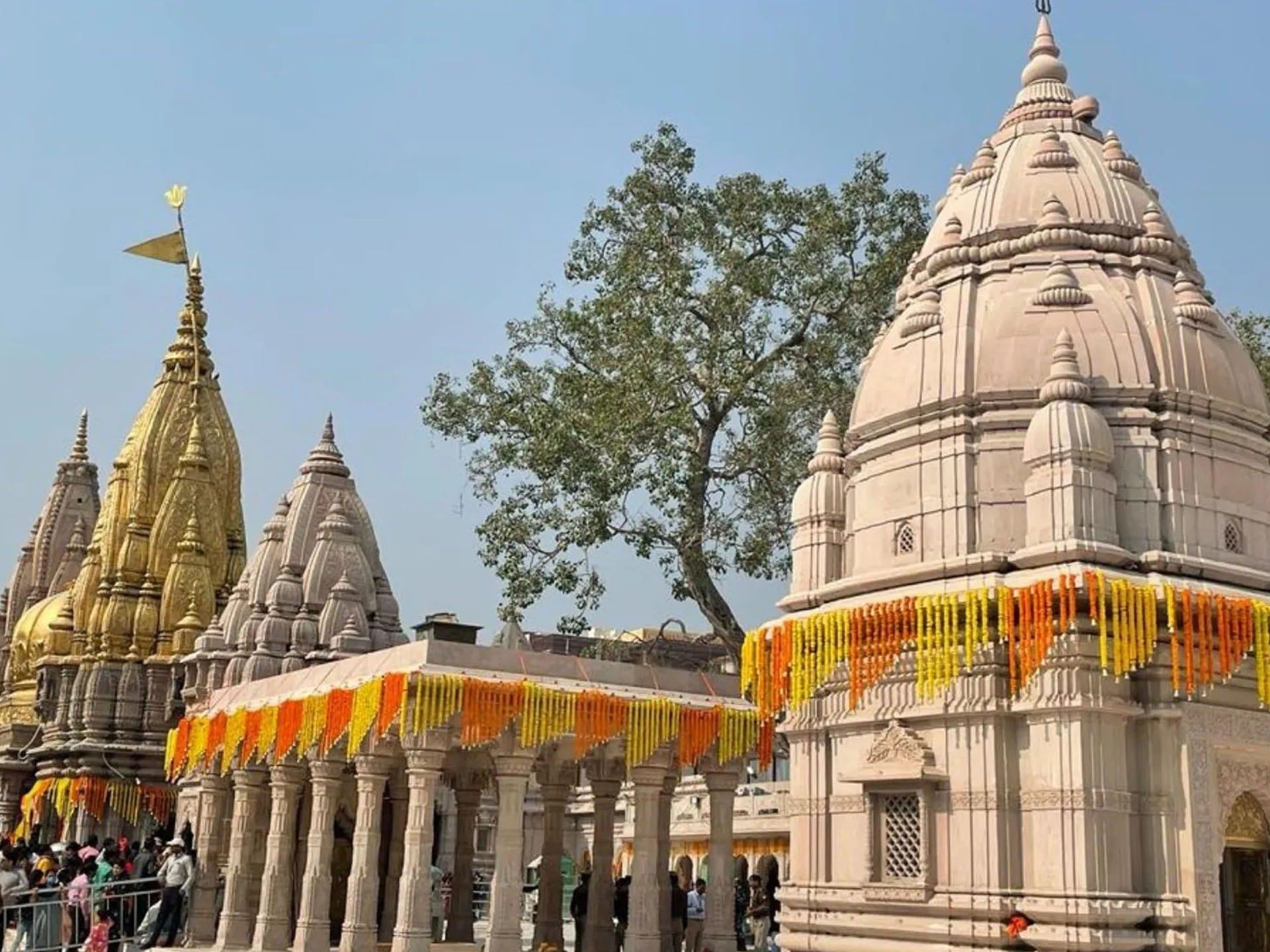1920x1440 Shri Kashi Vishwanath Temple Sacred Spaces
