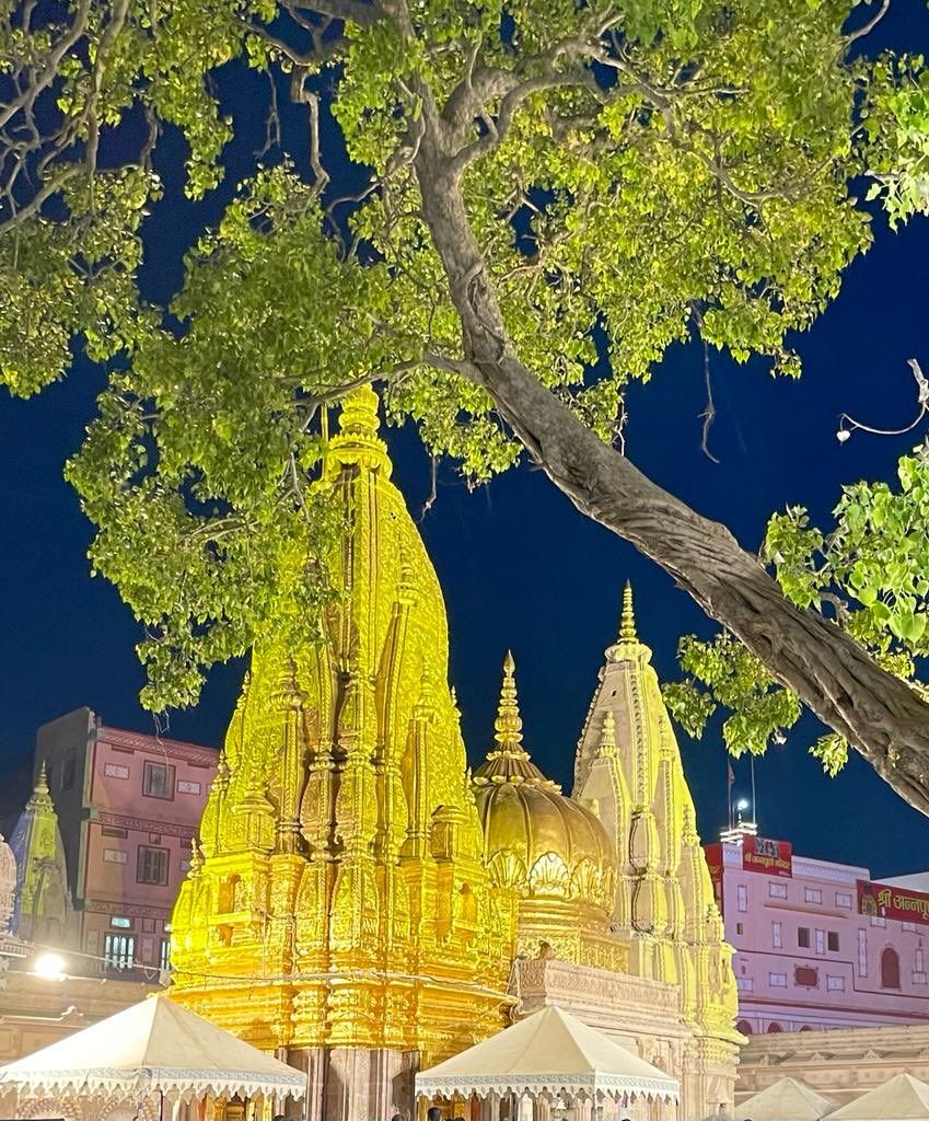 849x1024 Visited the Kashi Vishwanath Temple today. It was an exhilarating experience. Modi and Yogi achieved what looked 'Mission Impossible'