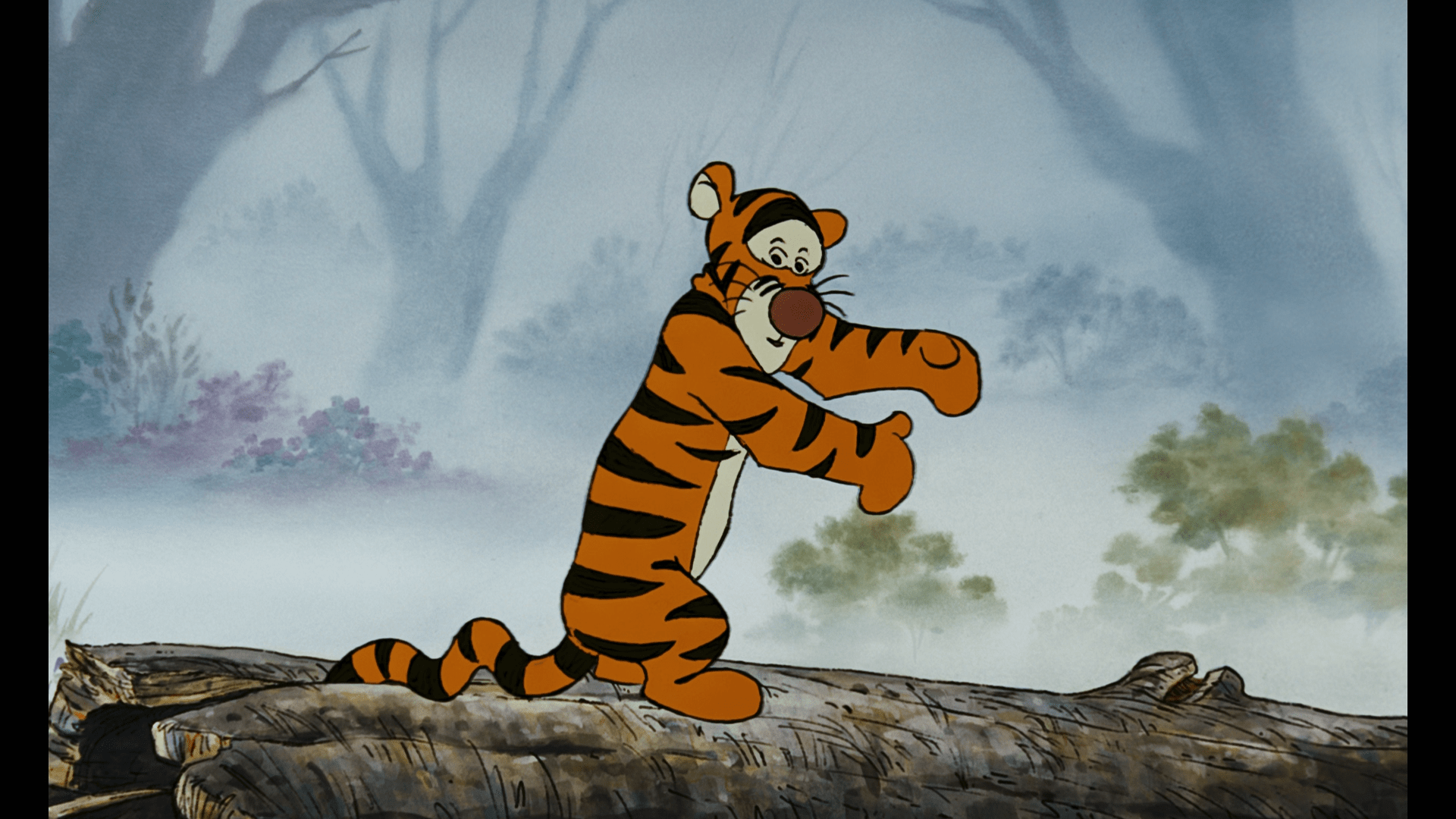 1920x1080 tigger HD Wallpaper