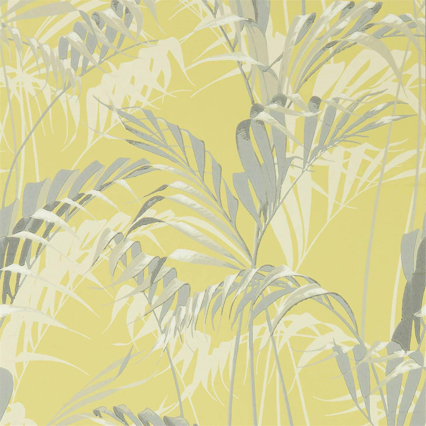 1366x1366 Sanderson Wallpaper Palm House 216642