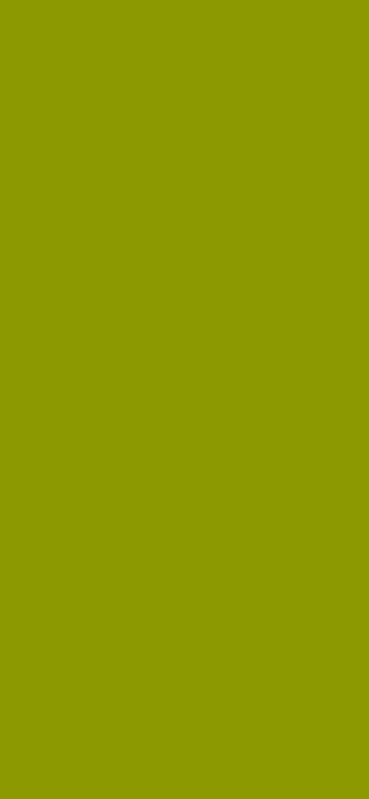 720x1560 Plain Chartreuse yellow green wallpaper