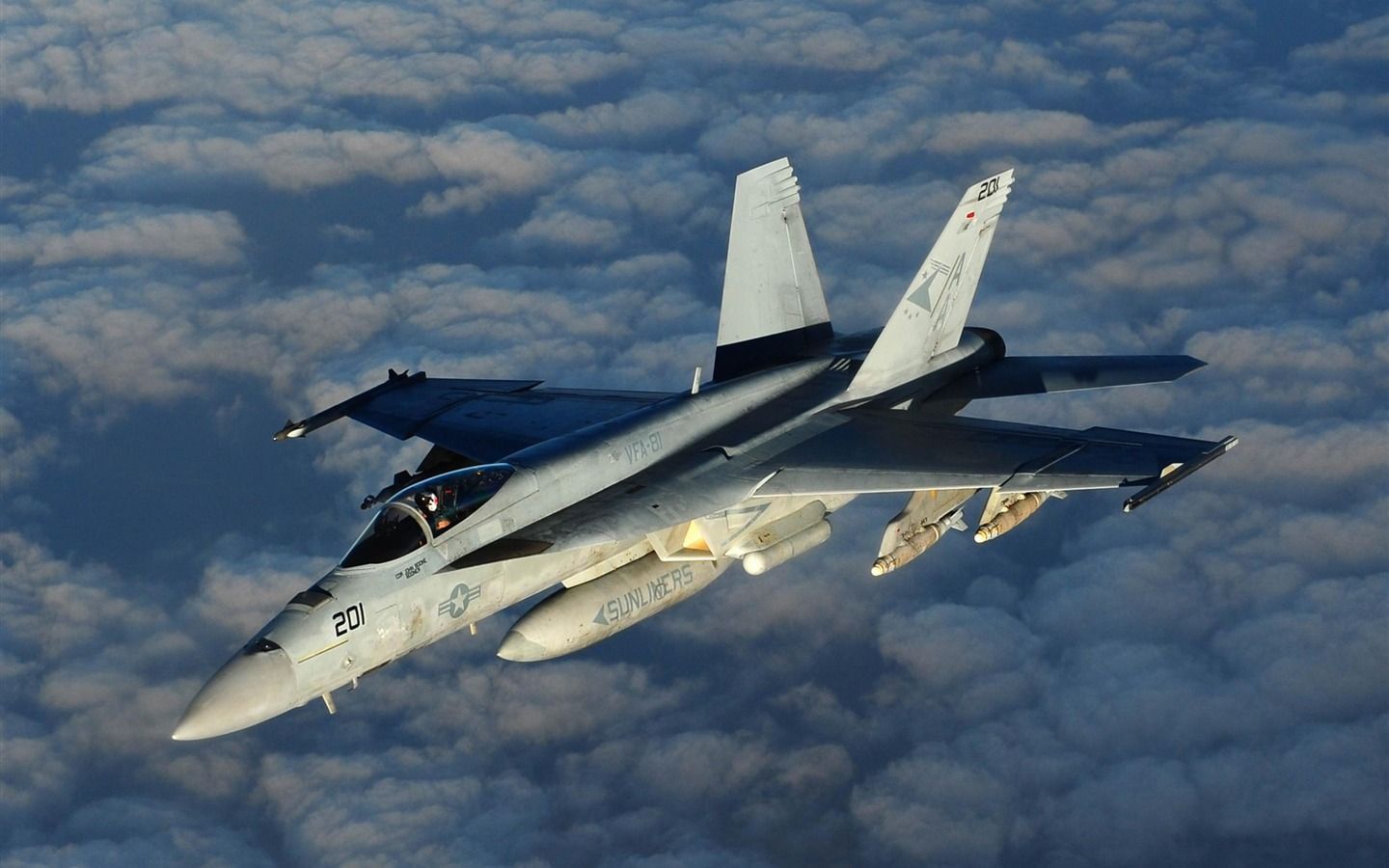 1440x900 FA 18E Super Hornet Military Aircraft Wallpaper