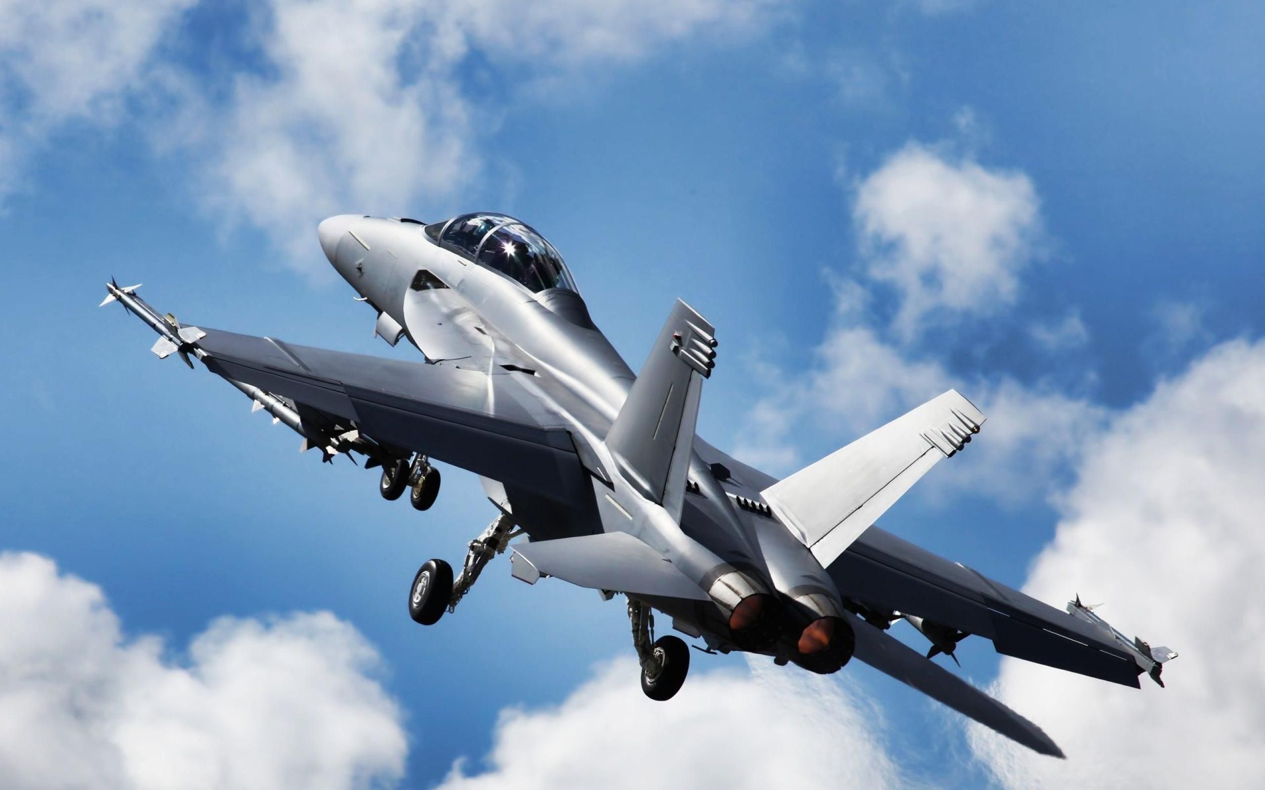2560x1600 F18 Super Hornet Aircraft Military Aircraft HD Wallpaper