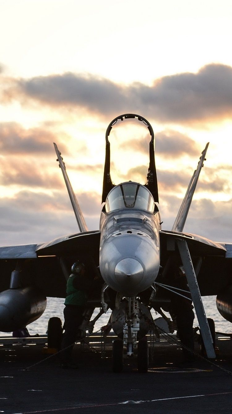 750x1334 Wallpaper FA 18E Super Hornet, Aircraft, Fighter 2560x1600 Picture, Image