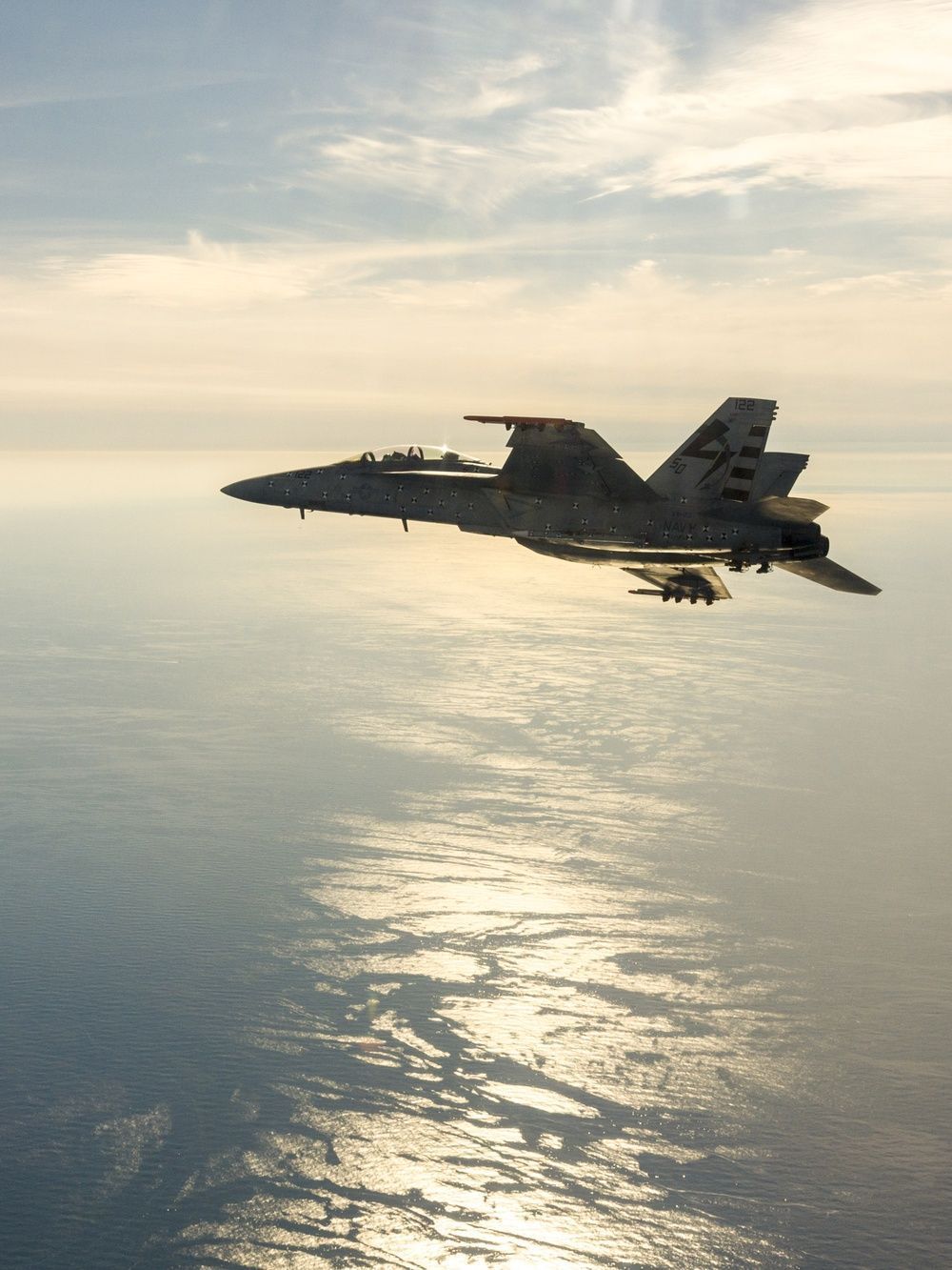 1000x1333 DVIDS.S. Navy F A 18F Super Hornet [Image 1 Of 2]