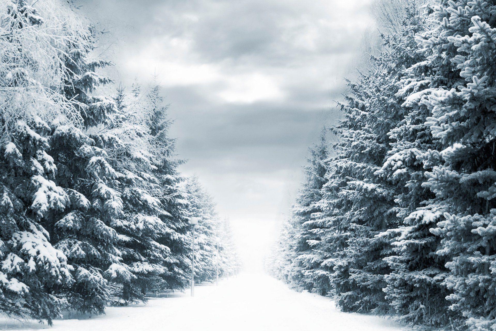1920x1280 winter way winter tree snow road lamps HD wallpaper