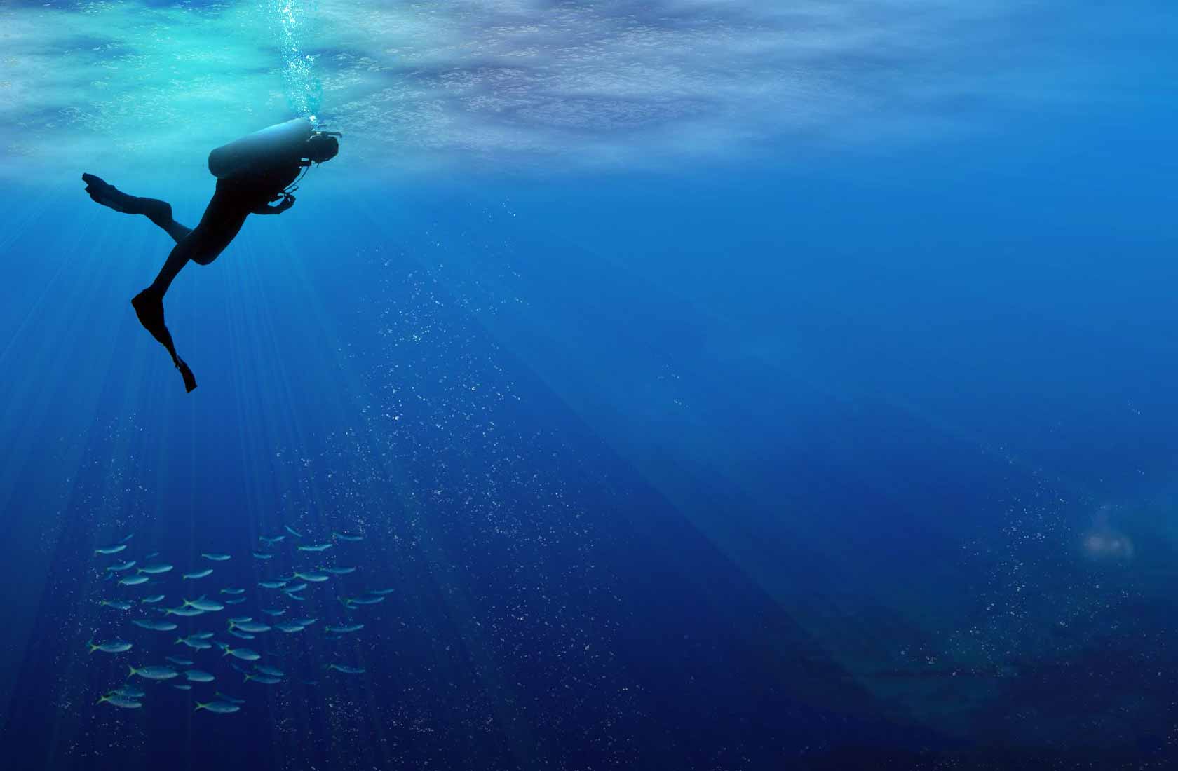 Diving Wallpapers - Top Free Diving Backgrounds - WallpaperAccess