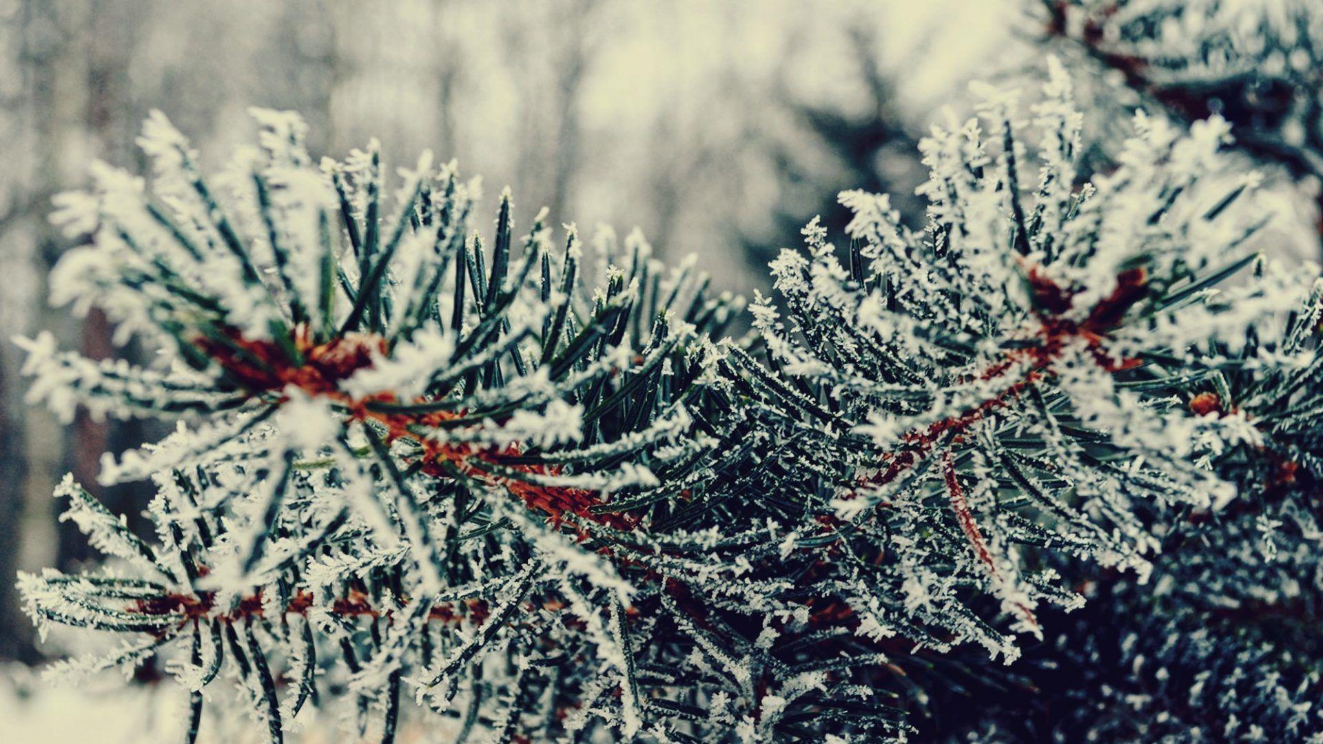 1920x1080 Winter wallpaper: Happy Holidays Christmas Snow Magic