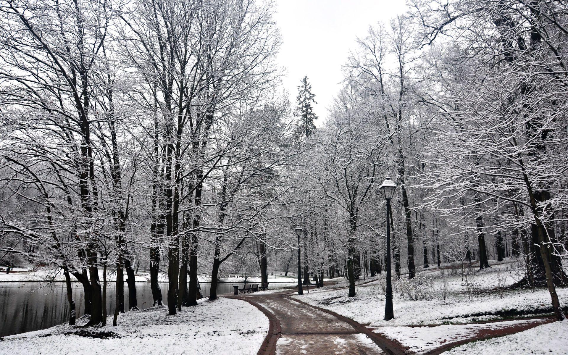 1920x1200 Stunning Winter Wallpaper