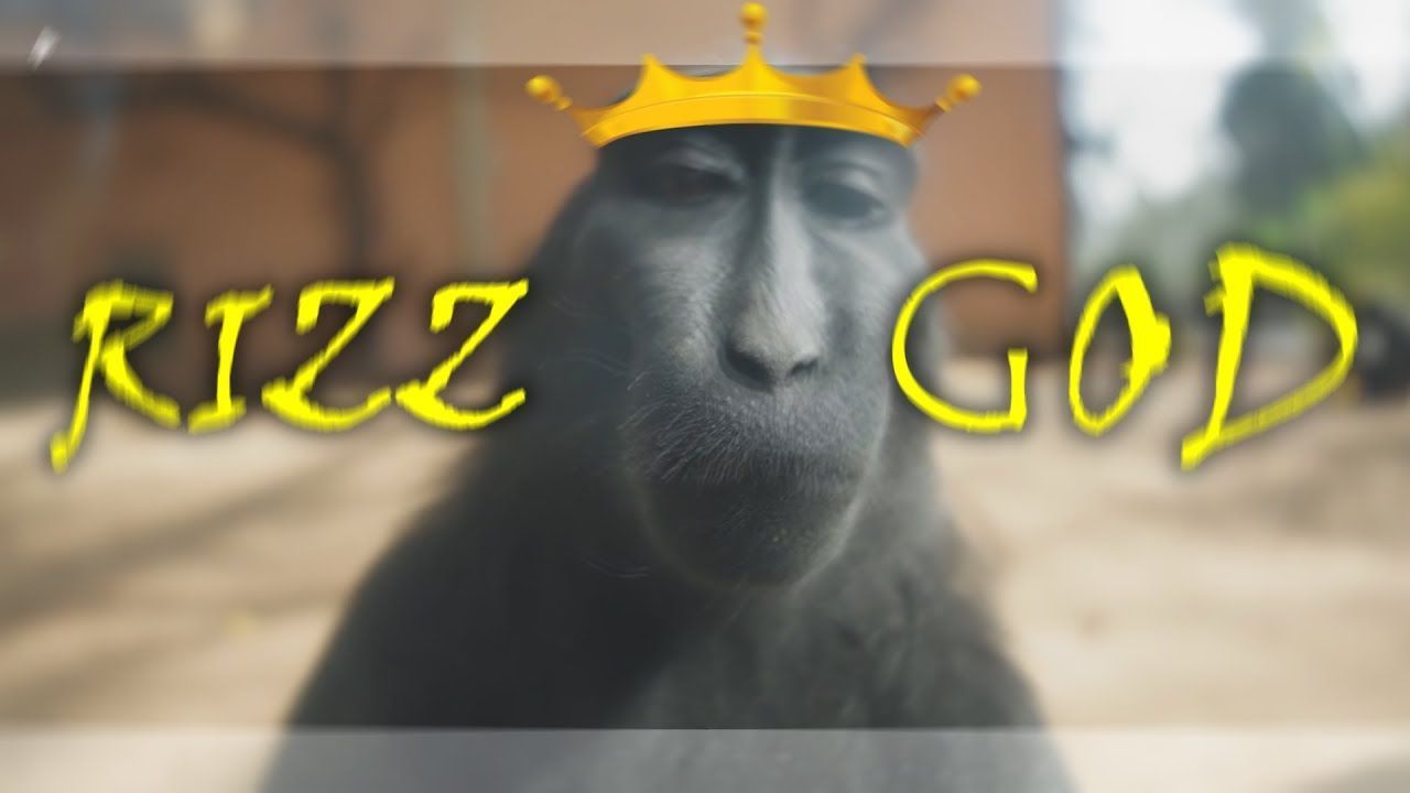 1280x720 Monkey Rizz Wallpaper