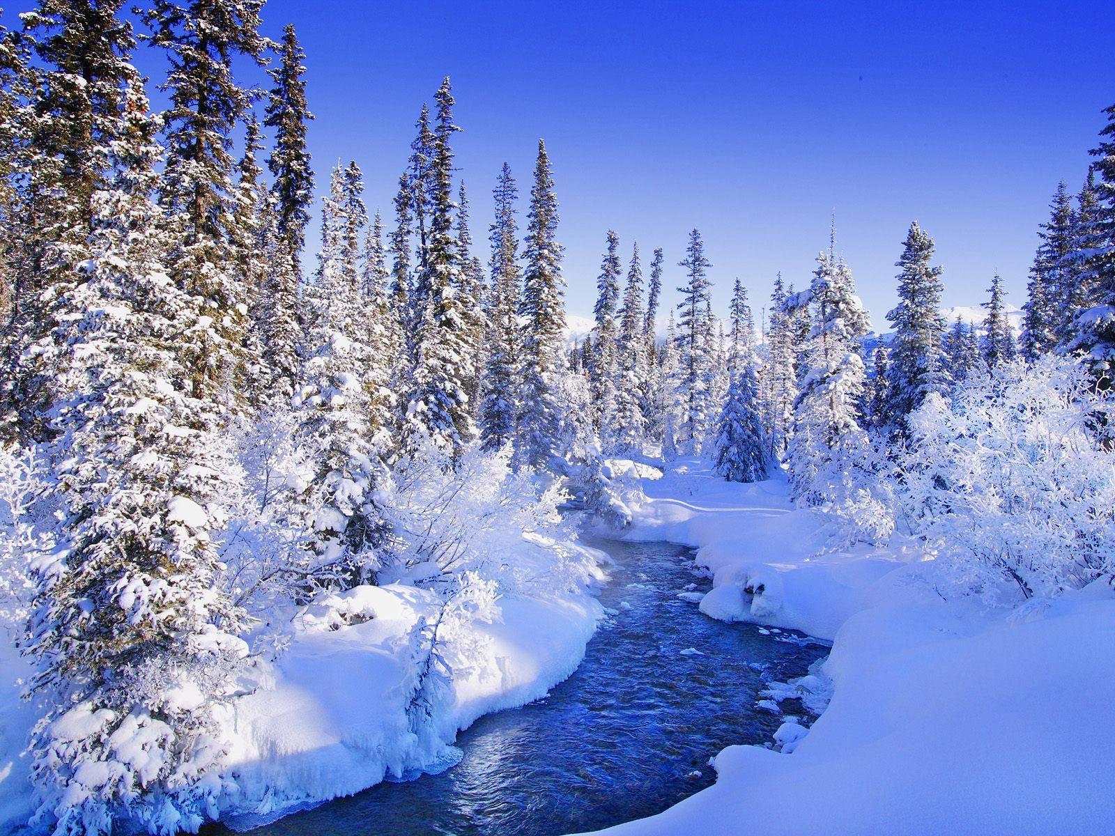 1600x1200 Winter scene wallpaper