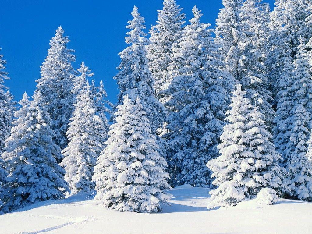 1024x768 Winter: Sky Landscape Trees Nature Beautiful Mountain Swiss Winter