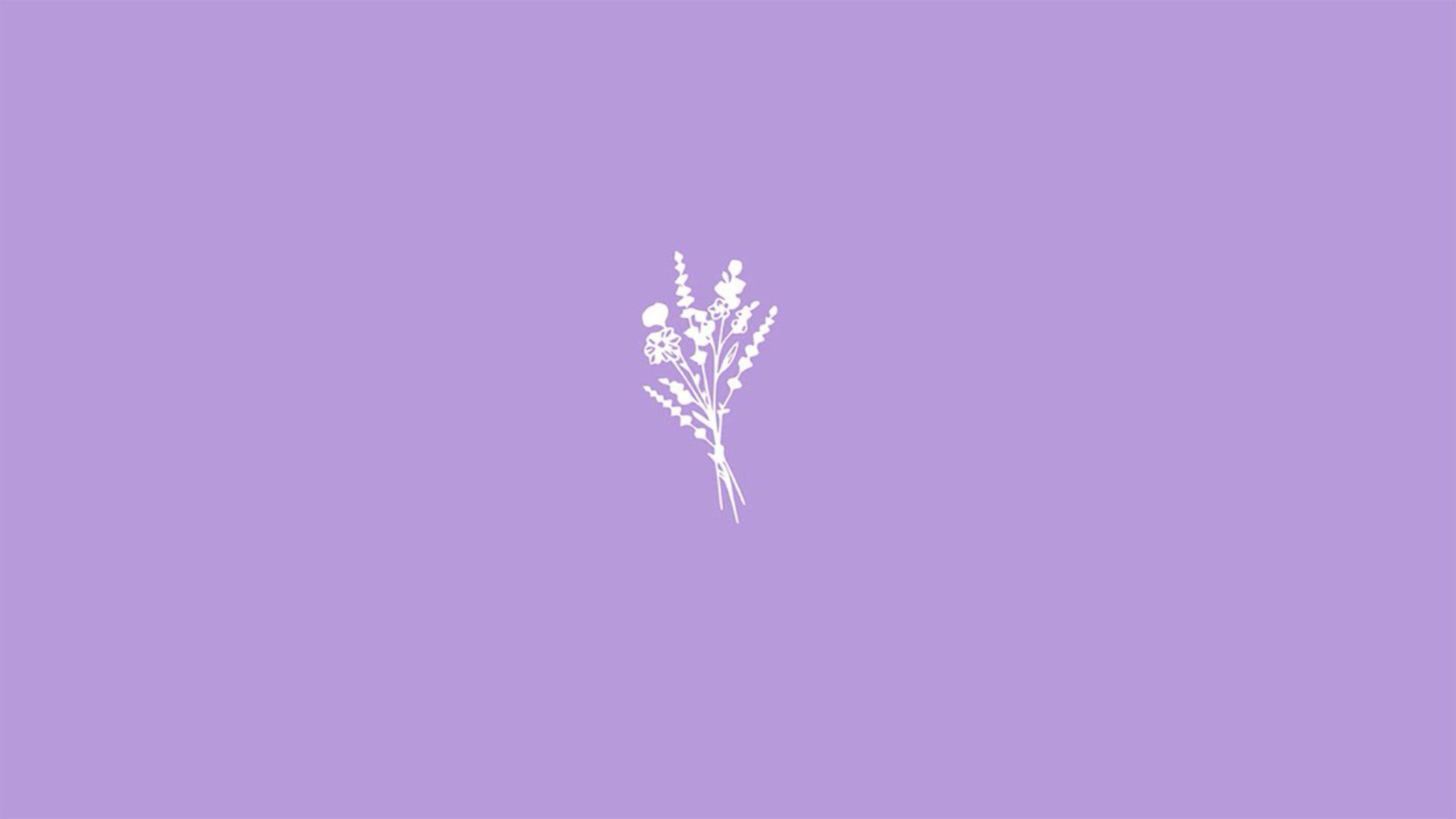 2048x1152 Spring Minimalist Purple Wallpaper