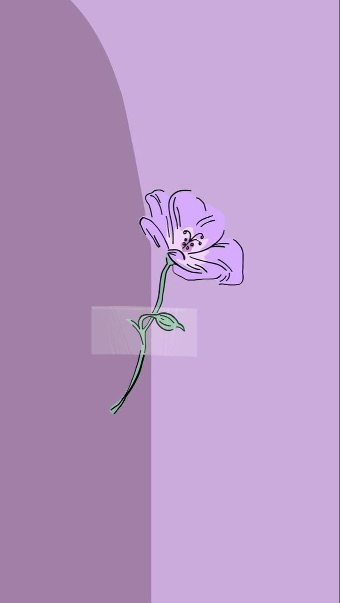 676x1199 