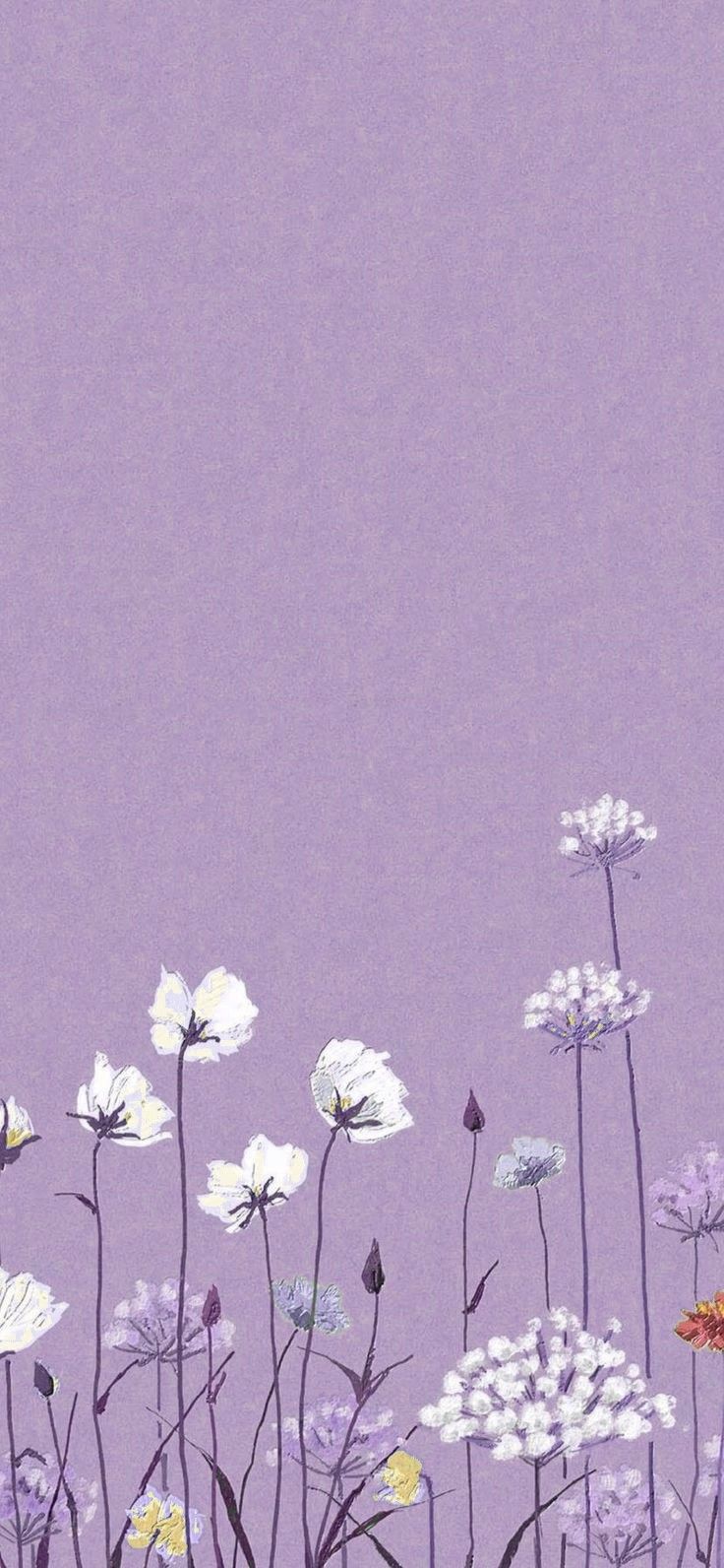 736x1592 White Flowers Painting on Purple Background