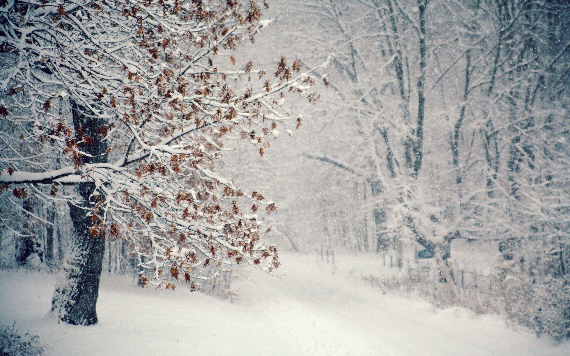 1920x1200 Winter Snow Wallpaper