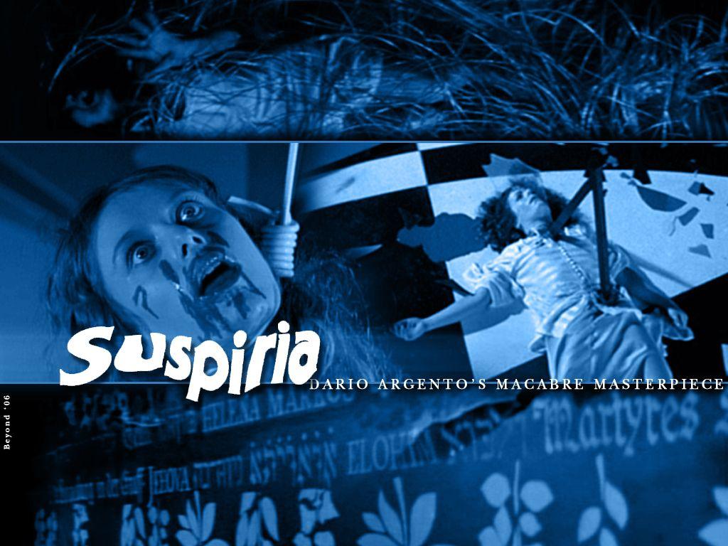 1024x768 Suspiria Horror wallpaper