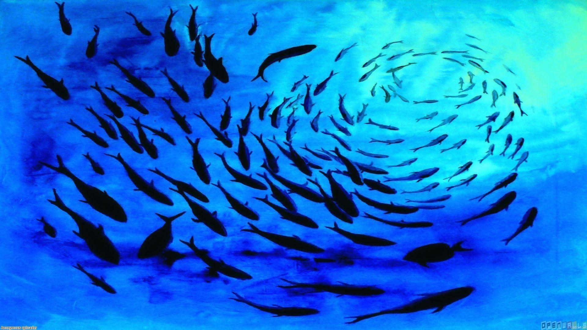 1920x1080 Sea Life Wallpaper, Picture