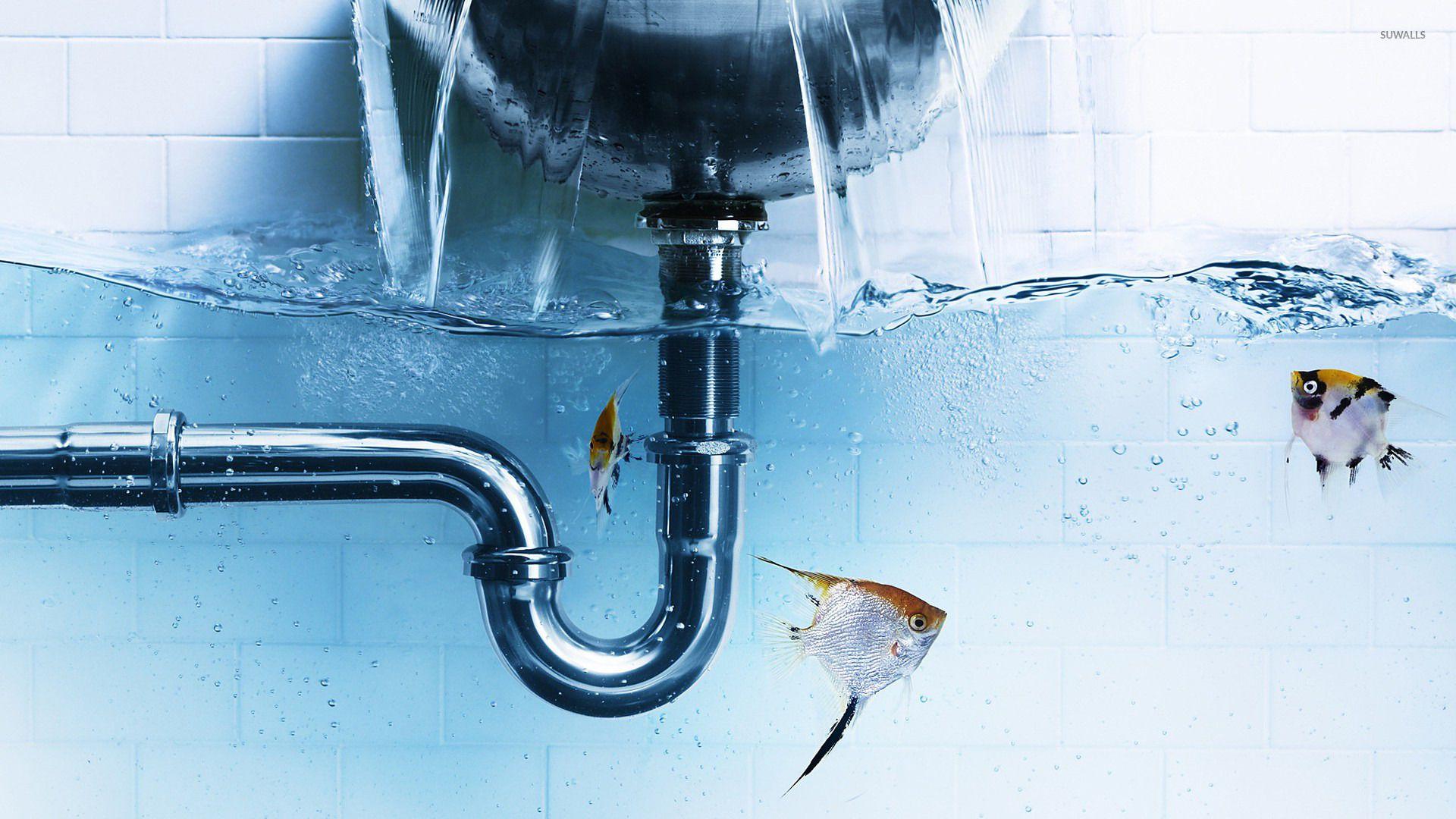 1920x1080 Fish under leaking faucet wallpaper Art wallpaper