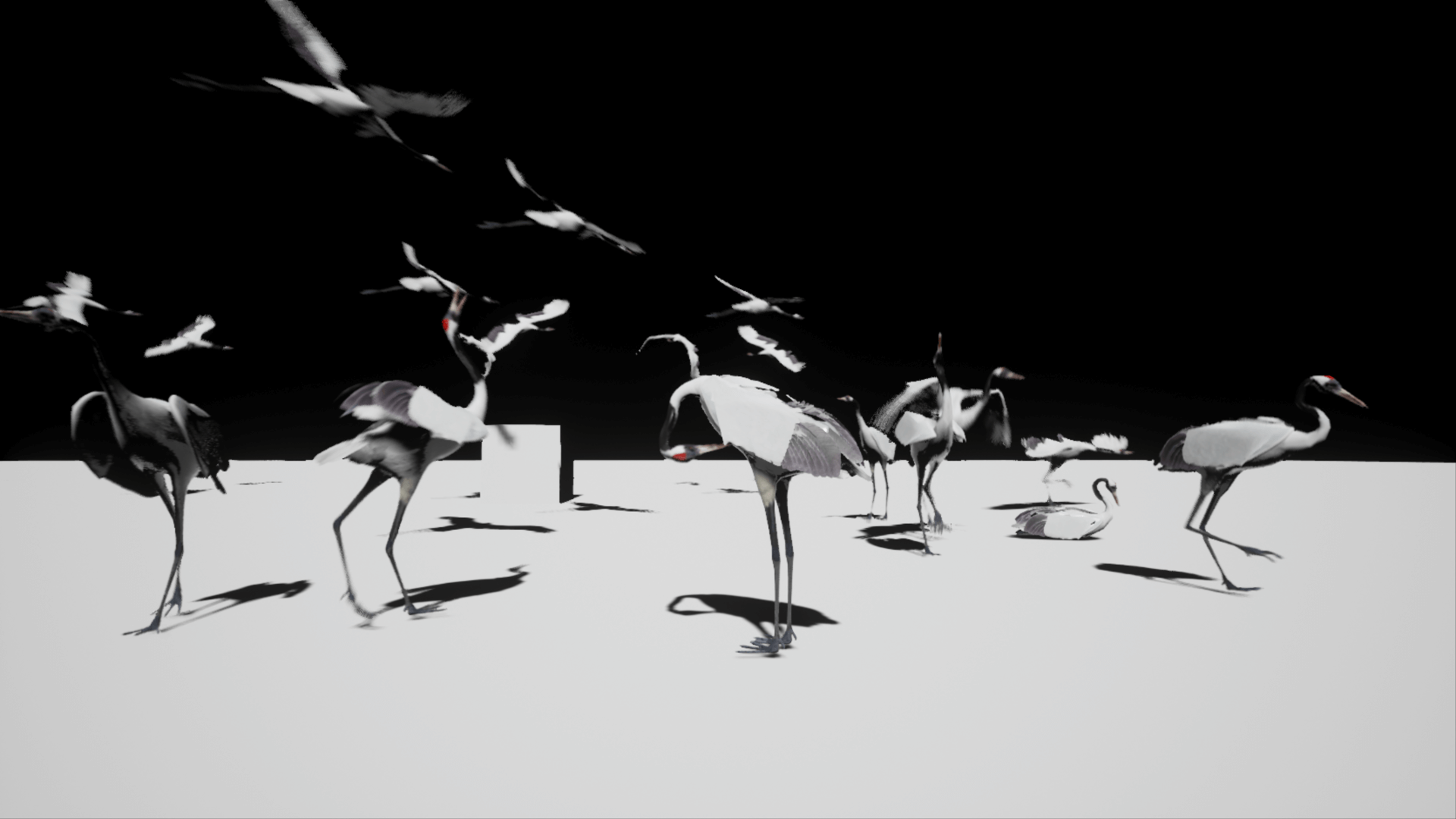 1920x1080 Red Crowned Crane by Junnichi Suko in Characters