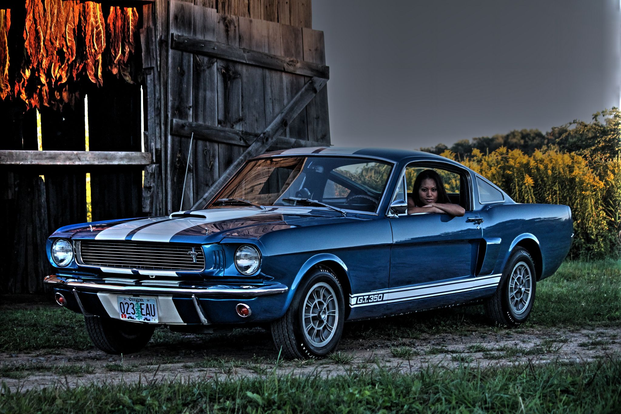 2048x1365 Wallpaper Shelby, Ford Mustang, muscle car, muscle car, GT350 for mobile and desktop, section ford, resolution 2048x1365