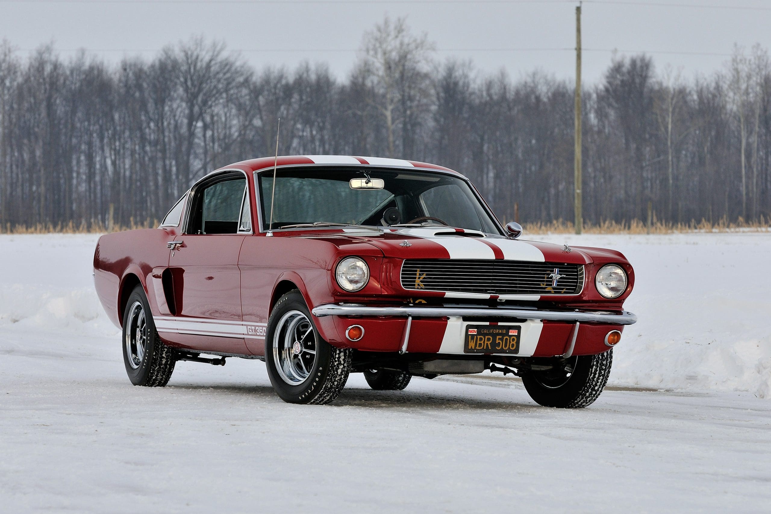 2560x1707 Shelby GT350 Wallpaper