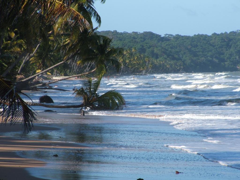 1024x768 Beach wallpaper 1024x768 desktop background