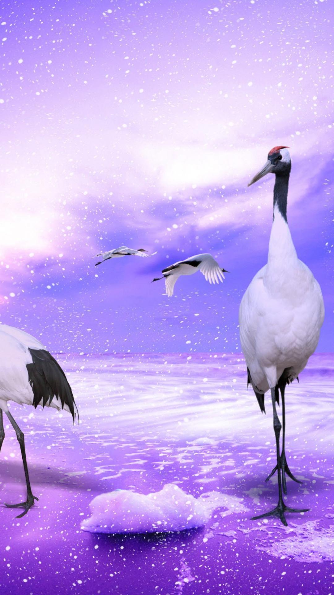 1080x1920 Red Crowned Cranes Japan wallpaper