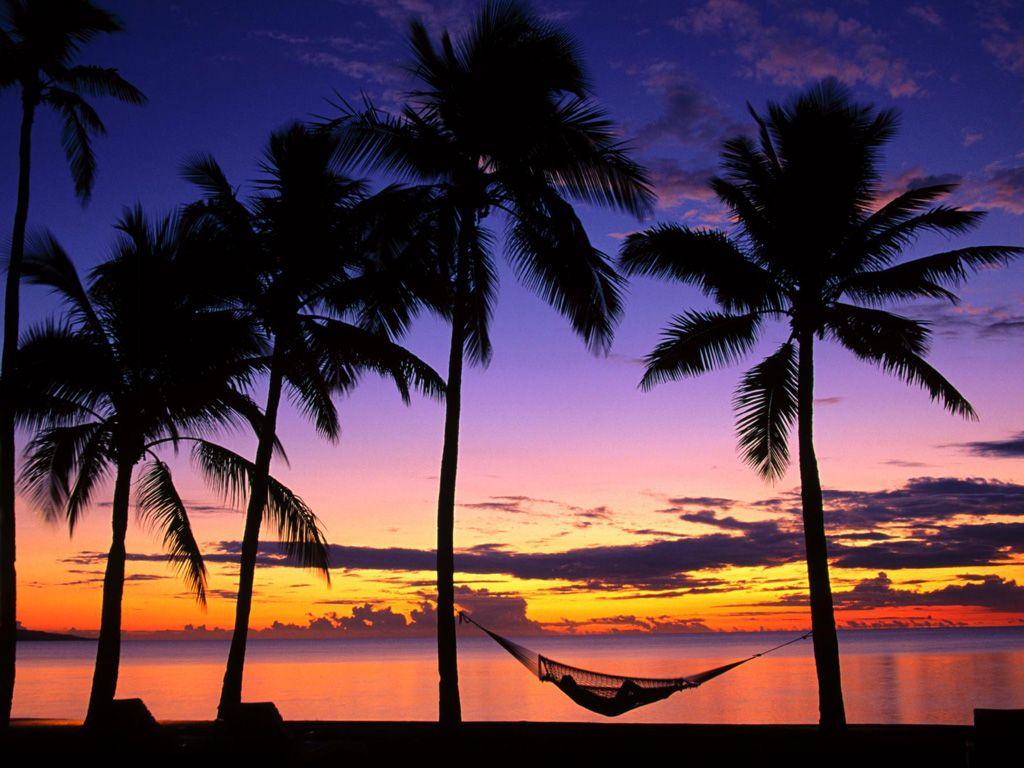1024x768 Beach Vacation trees on the beach 1024x768 NO.14 Desktop