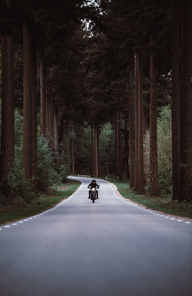 728x1122 HD wallpaper: black motorcycle, motorcyclist, road, forest, movement, turn