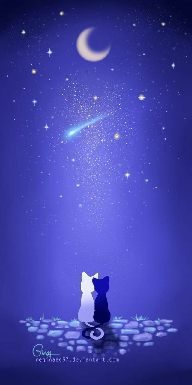 640x1280 Luna, Artemis, cute, holding, tails, moon, starry sky, night, shooting star; Sailor Moon