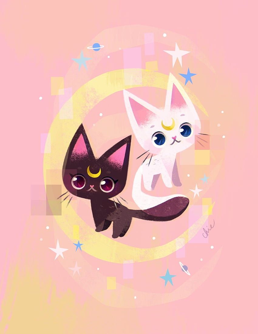 850x1100 Luna the beautiful black cat & Artemis the white boy, sailor moon cat HD phone wallpaper
