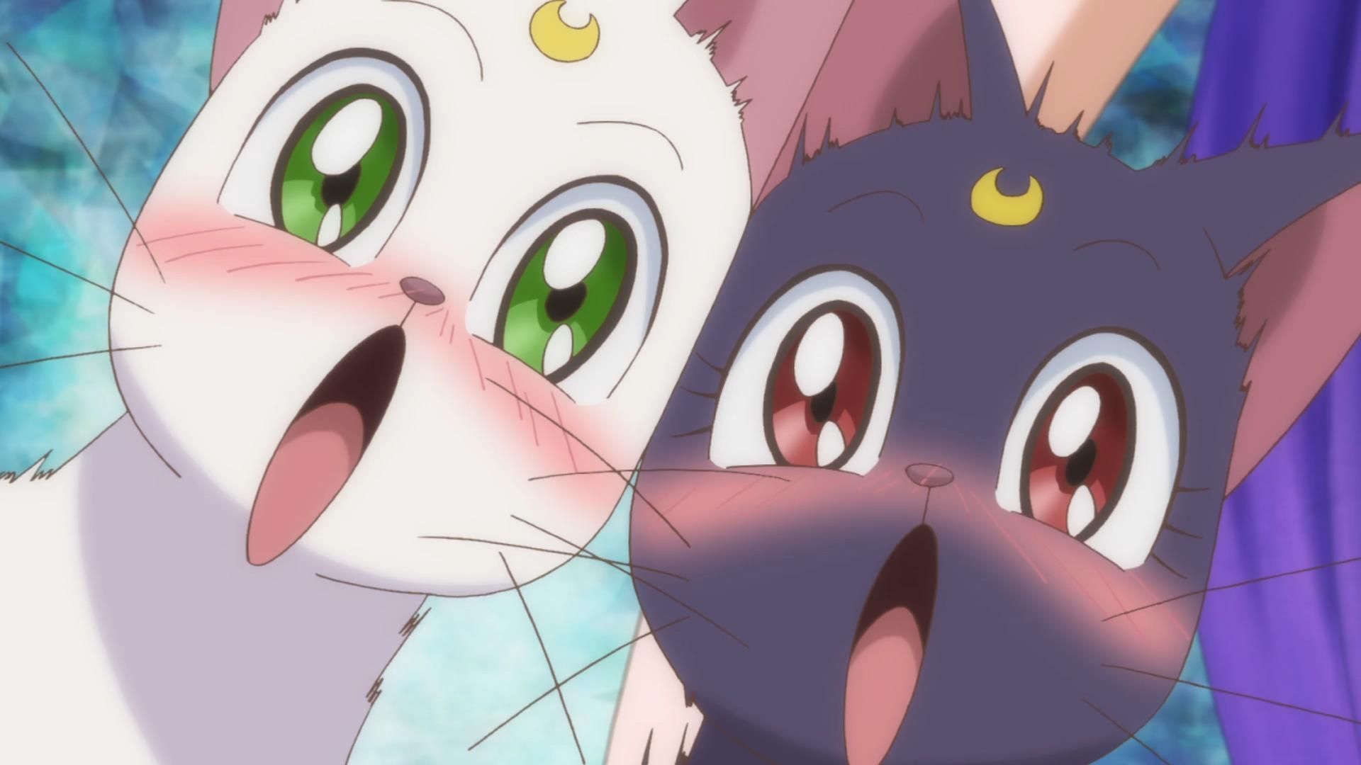 1920x1080 Sailor Moon Luna & Artemis
