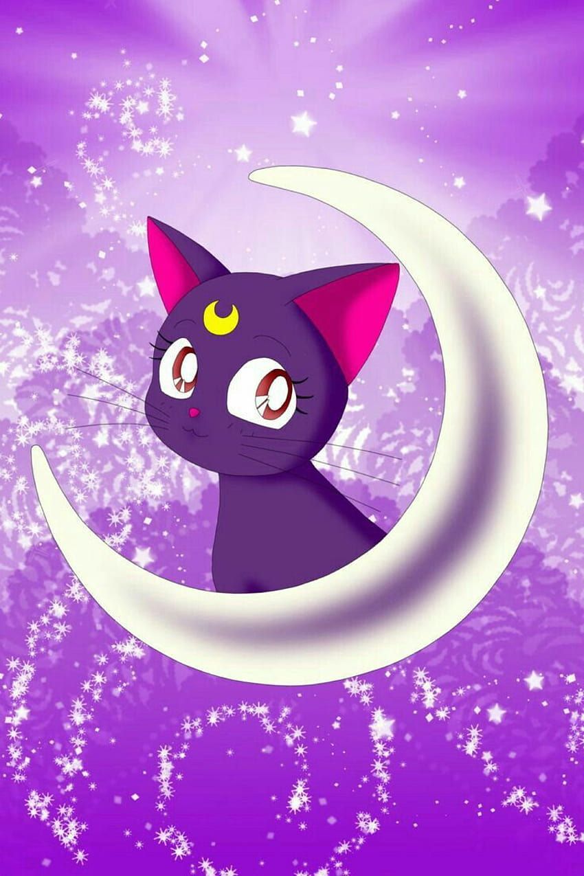 850x1275 Kristen Delmonico on Luna & Artemis❤❤, luna the cat HD phone wallpaper