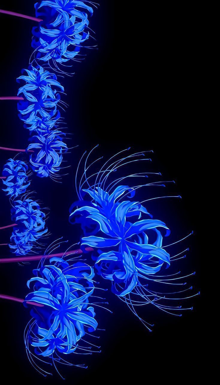 735x1283 Blue Spider Lily. Blue anime, Demon aesthetic, Anime scenery. Lírios, Wallpaper bonitos, Wallpaper femininos