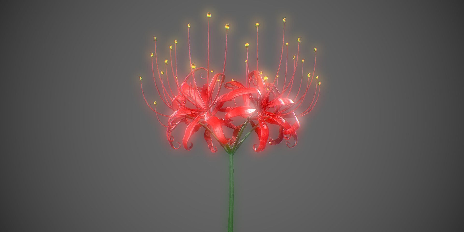 1920x960 Red Spider Lily Higanbana (Death Flower)