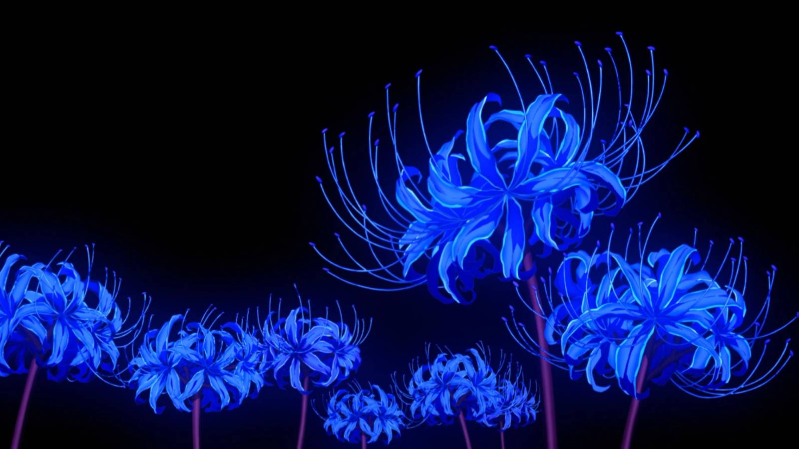 1600x900 Demon Slayer: The Blue Spider Lilies Explained