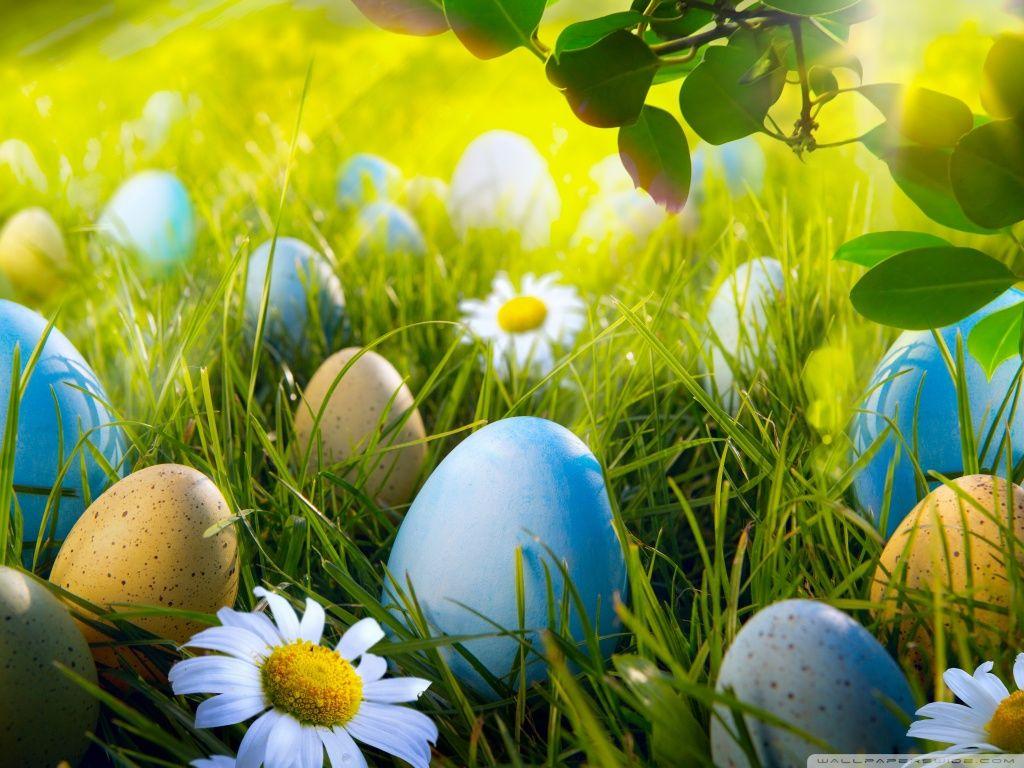 1024x768 Easter Egg Hunt Ultra HD Desktop Background Wallpaper for 4K UHD