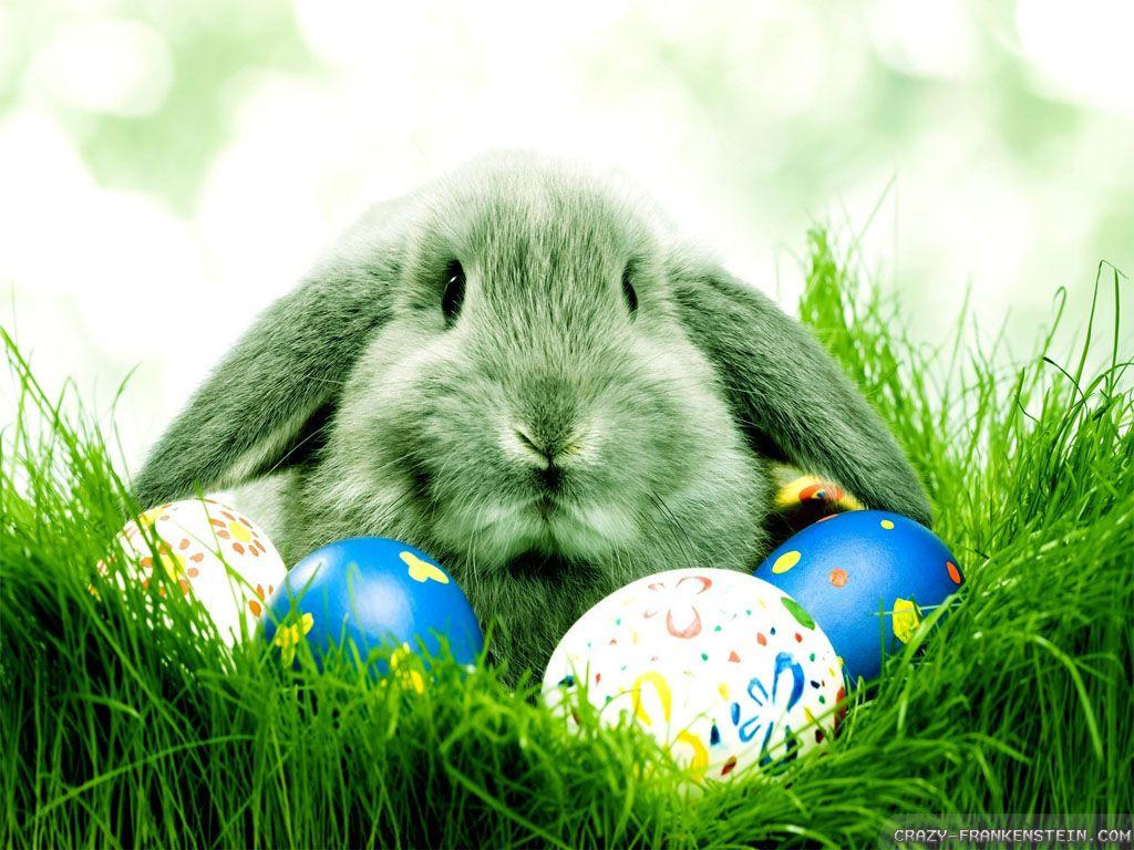 1024x768 Spring Easter wallpaper