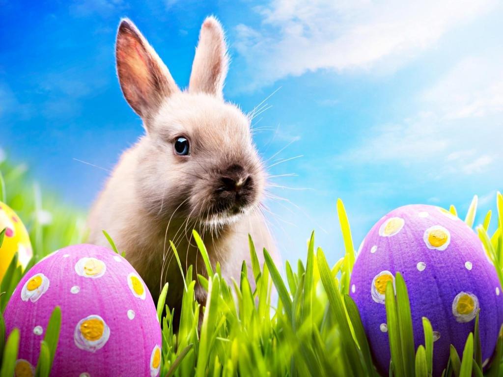 1024x768 Easter wallpaper 1024x768 desktop background