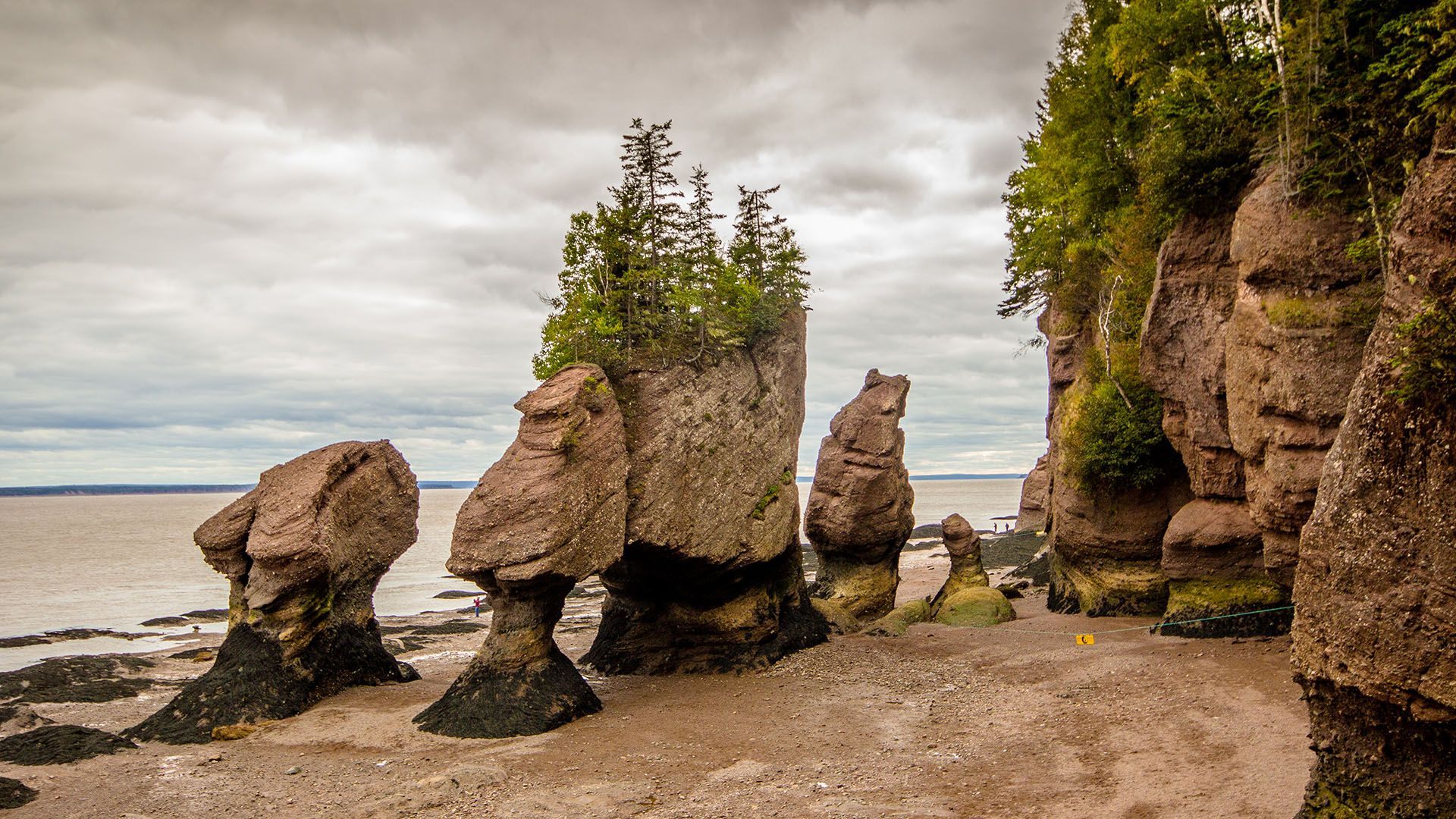 1920x1080 Ways To Explore Canada's Bay Of Fundy