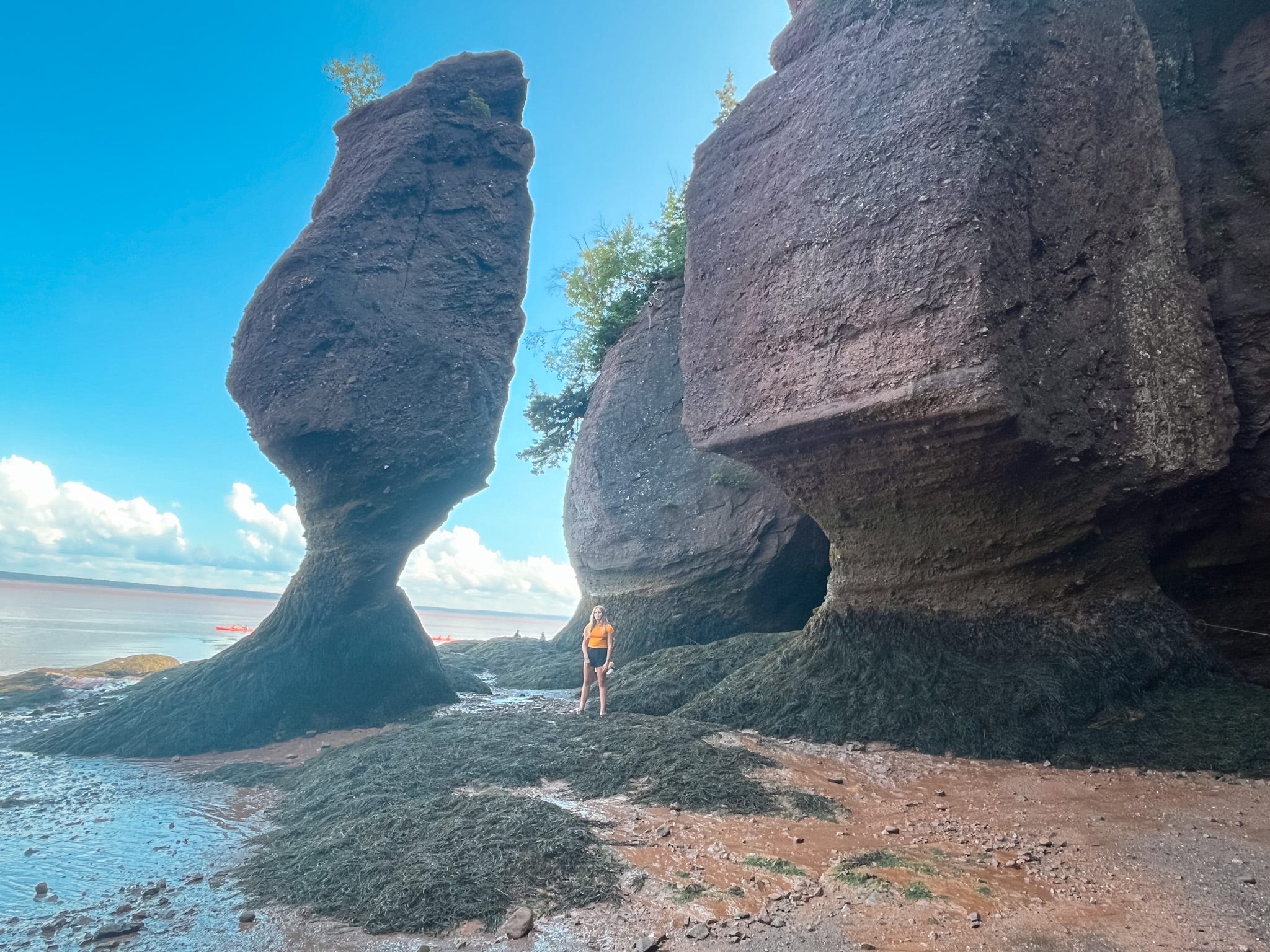2048x1536 Our Itinerary to the Bay of Fundy