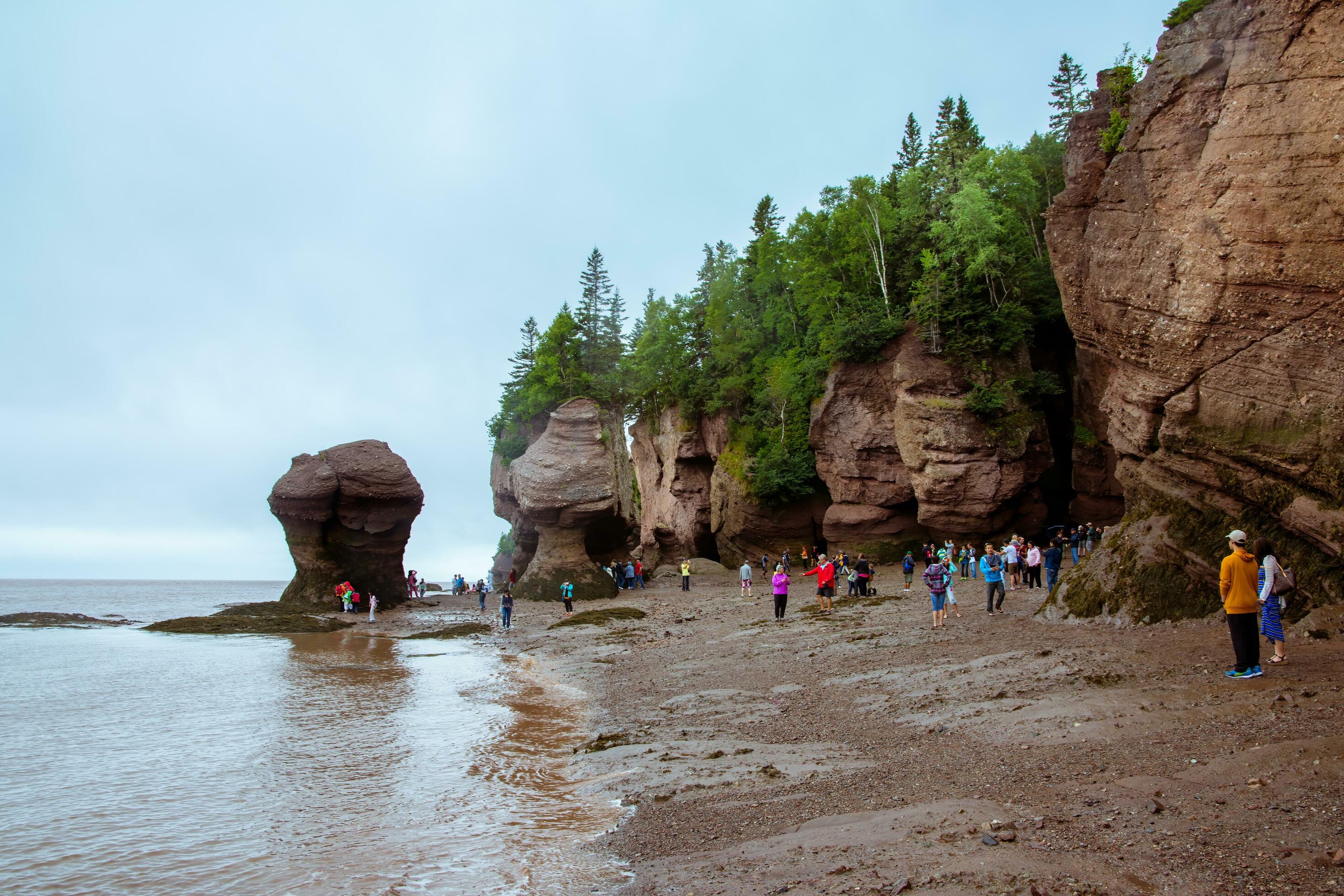 2940x1960 Bay Of Fundy, Canada 2015 People Walk On The Bottom Of The Bay Of Fundy As The Tide Is Out On An Overcast Day