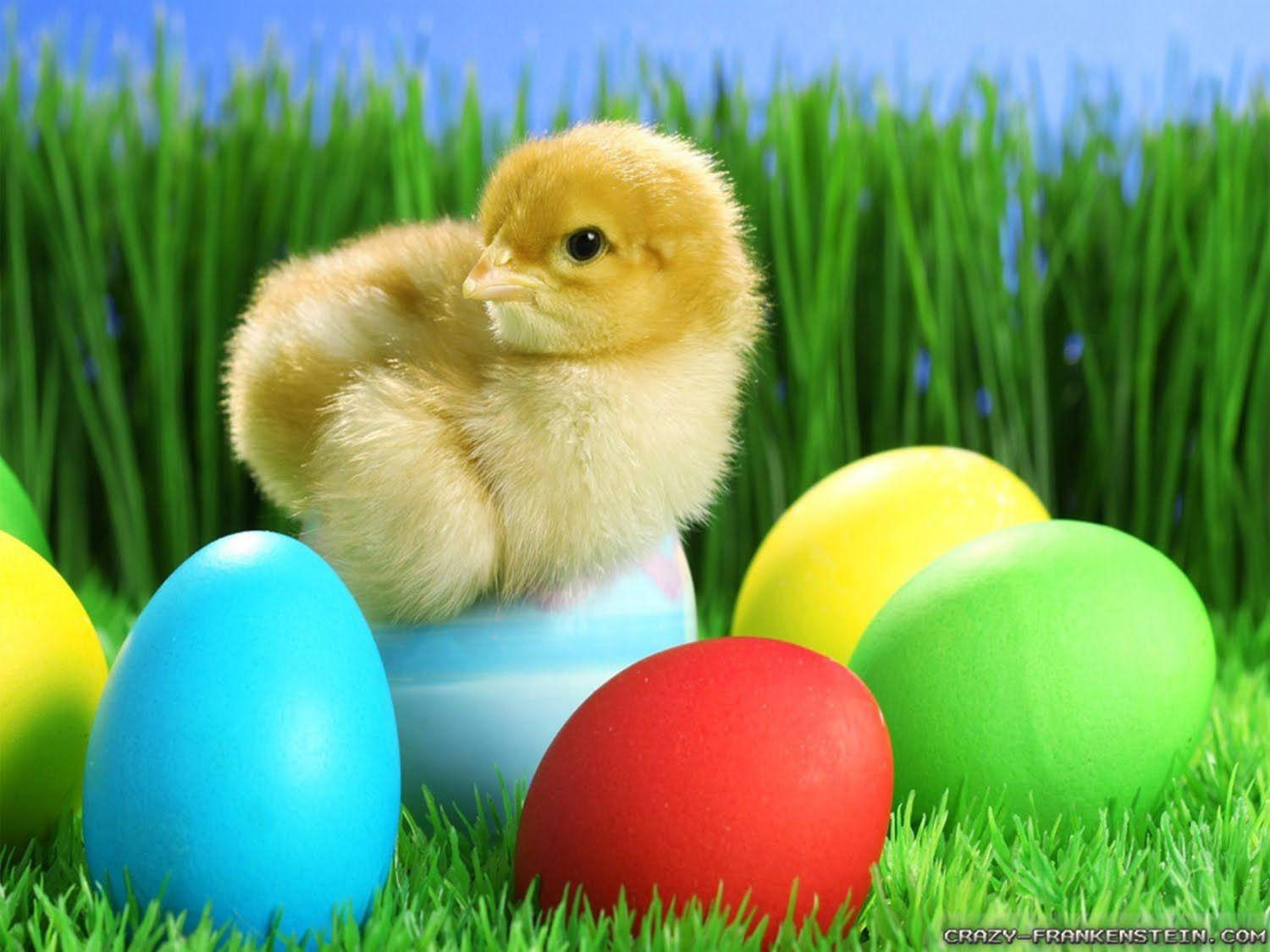 1500x1125 High Resolution Wallpaper: Easter Wallpaper