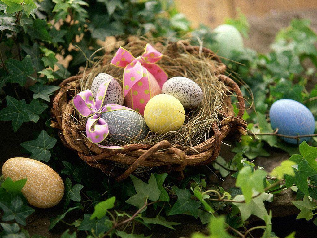 1024x768 Desktop Wallpaper Eggs. Free Desktop