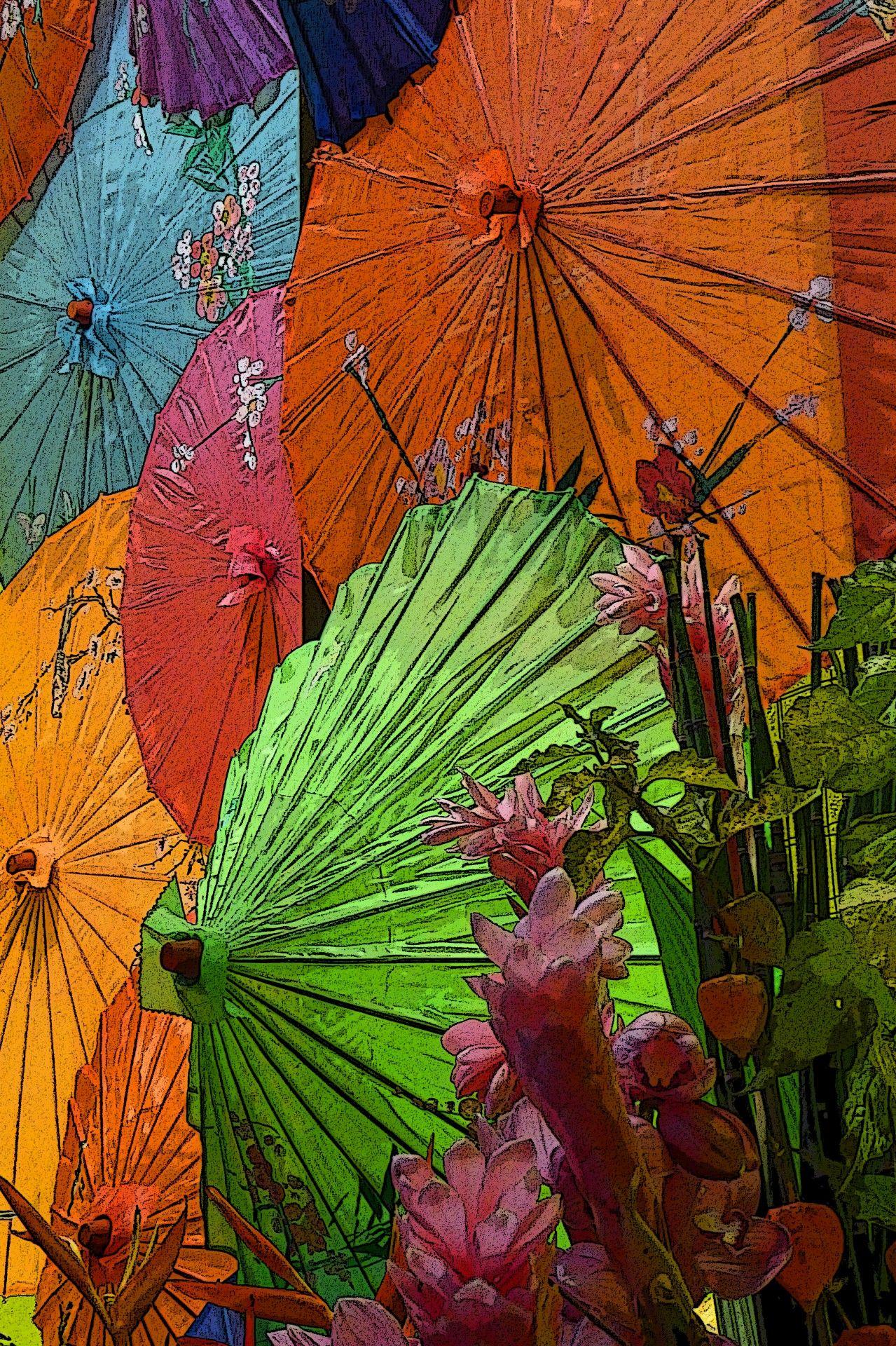 1279x1920 Japanese Umbrella Background Free Domain Picture
